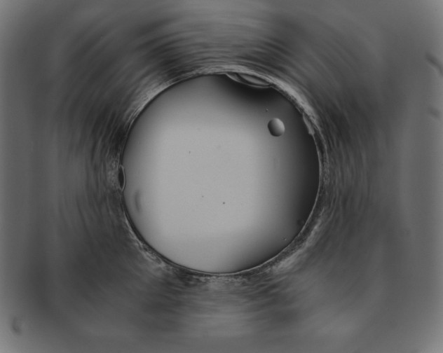 X0000091680905200709201236