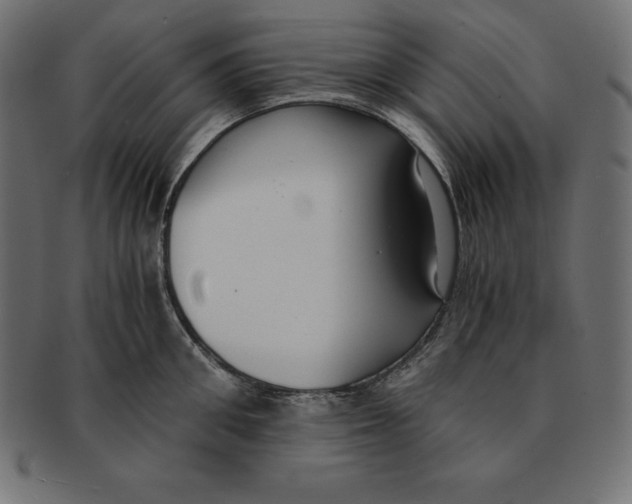 X0000091680906200709201236