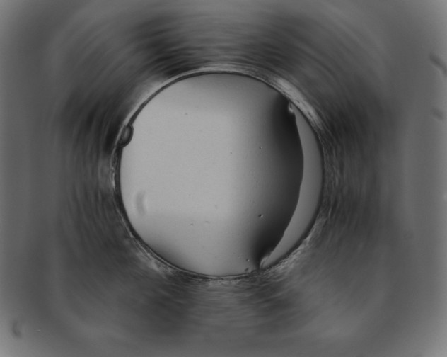 X0000091680908200709201236