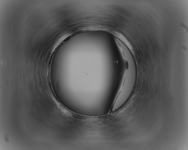 X0000091680909200709201236