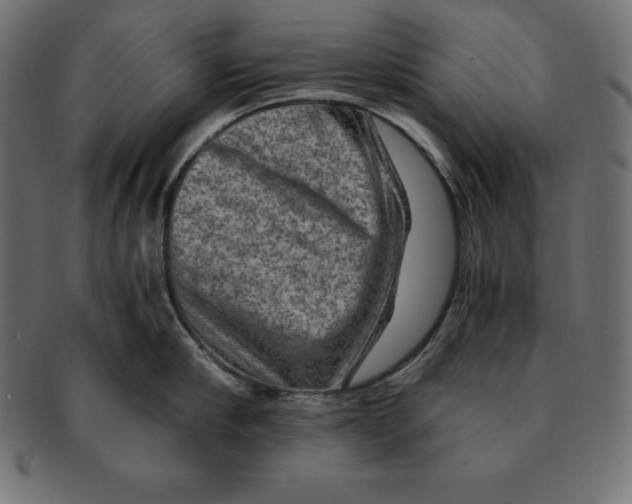 X0000091680910200709201236