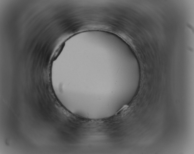 X0000091680912200709201236