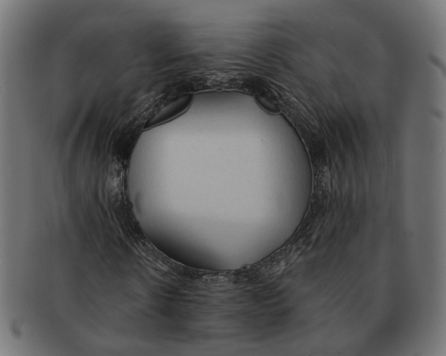 X0000091680914200709201236