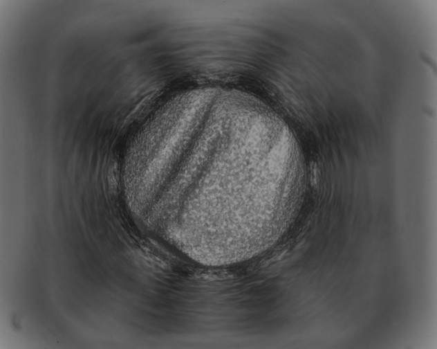 X0000091680915200709201236