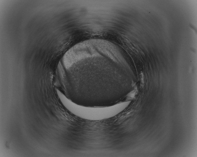 X0000091680916200709201236