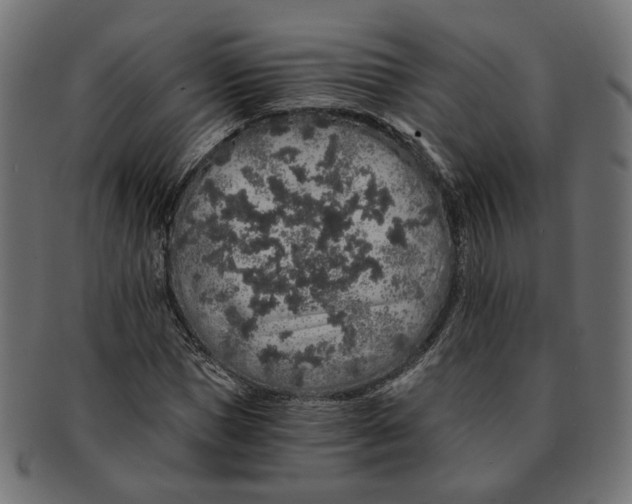 X0000091680921200709201236