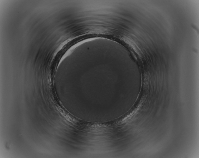 X0000091680923200709201236