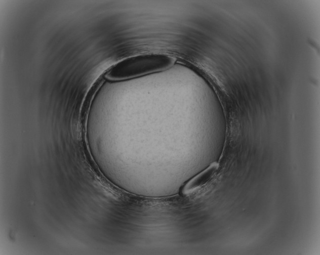 X0000091680924200709201236