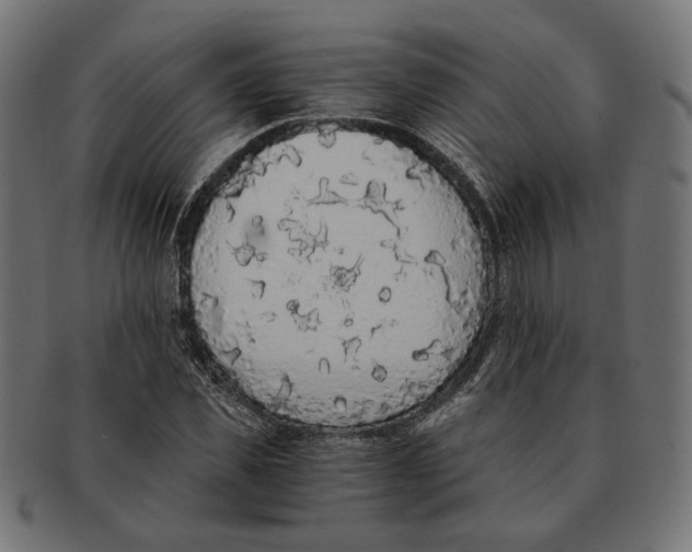 X0000091680925200709201236