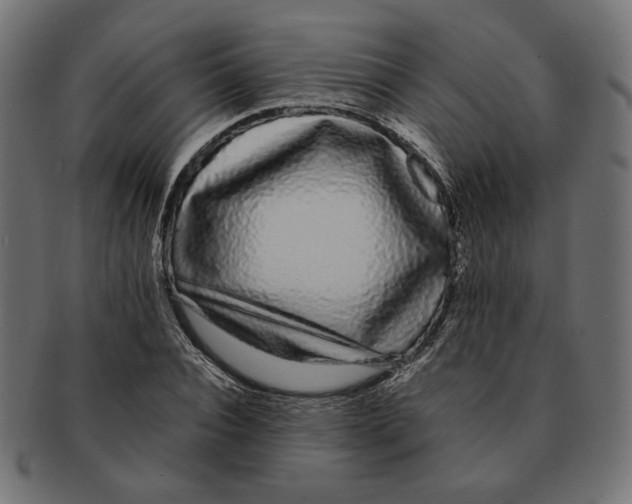 X0000091680928200709201236