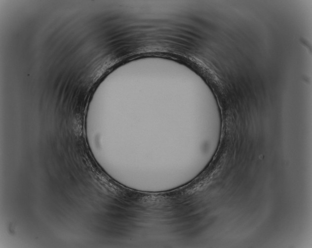 X0000091680929200709201236