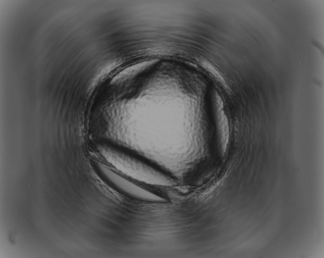 X0000091680930200709201236