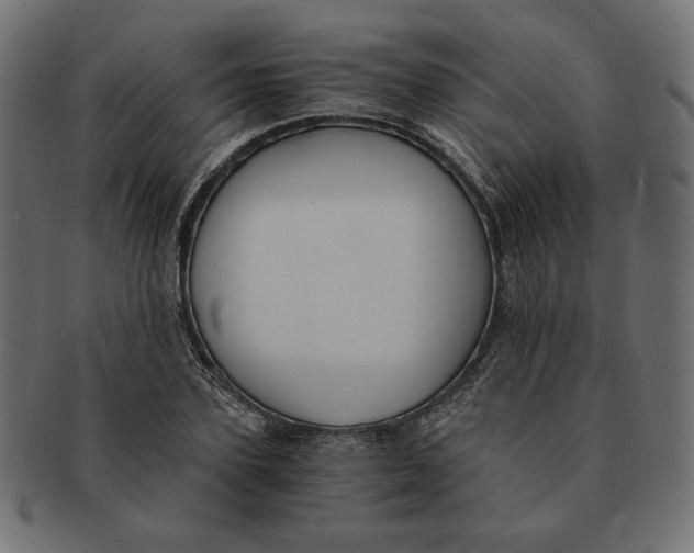 X0000091680931200709201236