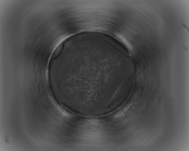 X0000091680932200709201236