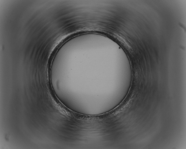 X0000091680934200709201236