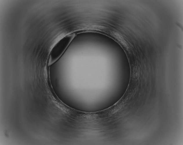 X0000091680936200709201236