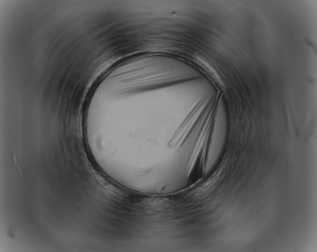 X0000091680939200709201236