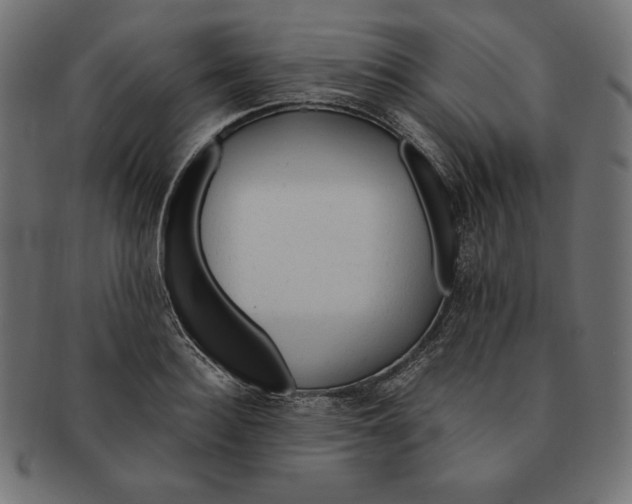 X0000091680940200709201236