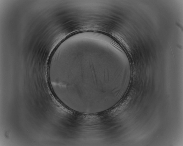 X0000091680941200709201236