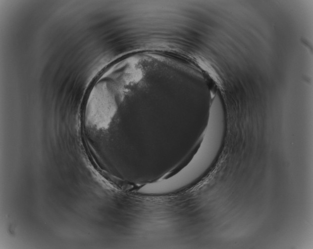 X0000091680944200709201236