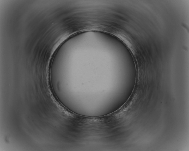 X0000091680949200709201236