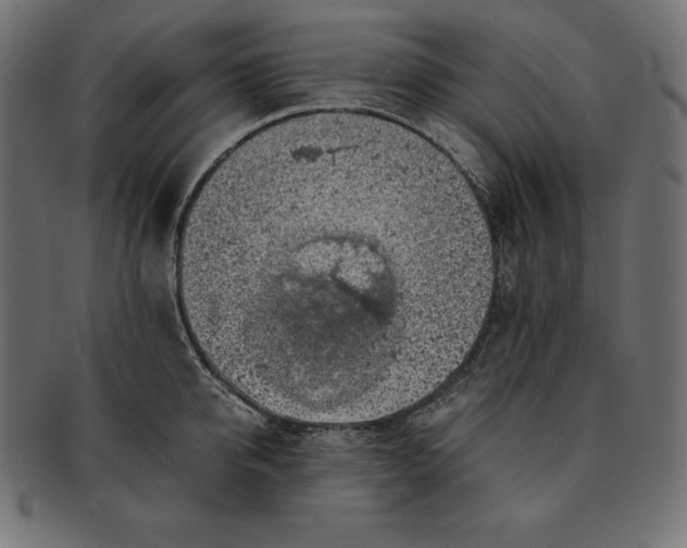 X0000091680950200709201236