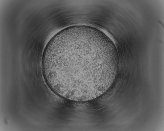 X0000091680951200709201236