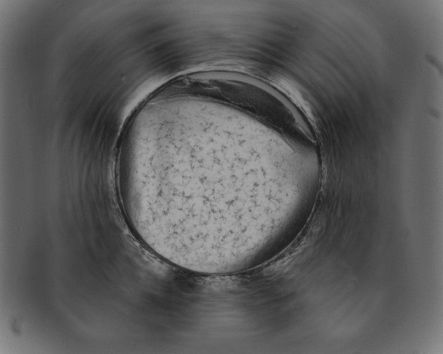 X0000091680952200709201236