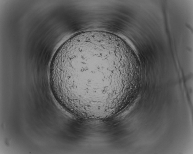 X0000091680957200709201236