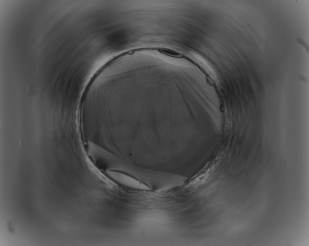 X0000091680958200709201236