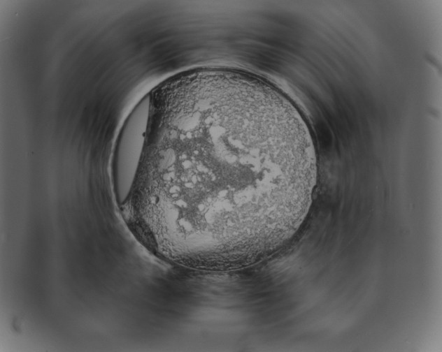 X0000091680959200709201236