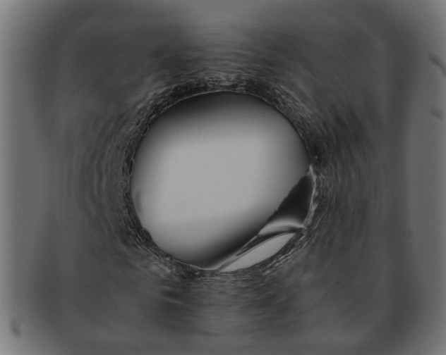 X0000091680961200709201236