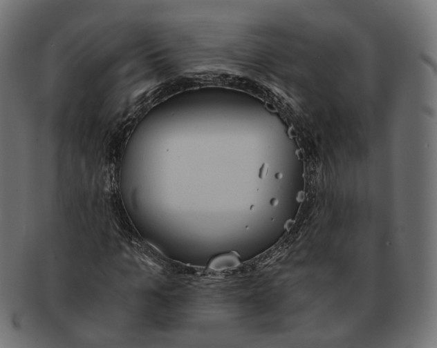 X0000091680965200709201236