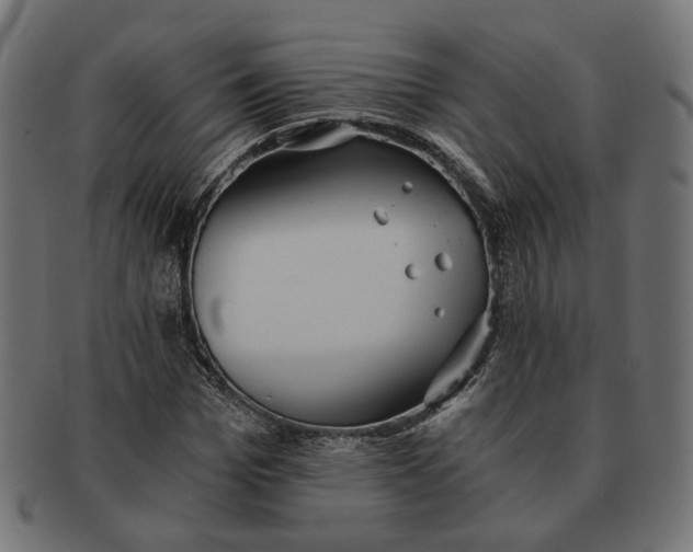 X0000091680969200709201236