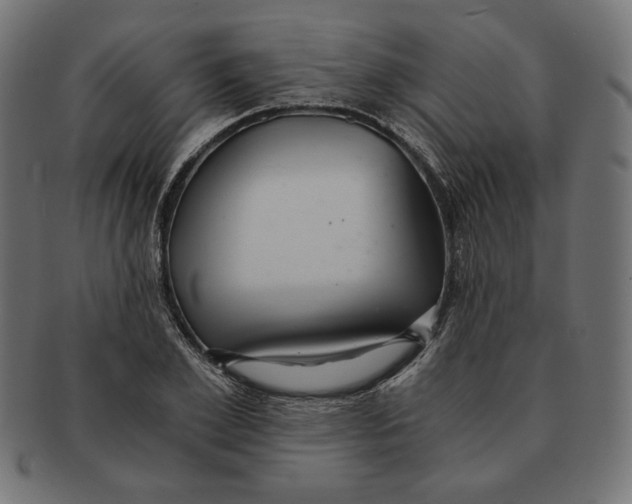 X0000091680981200709201235