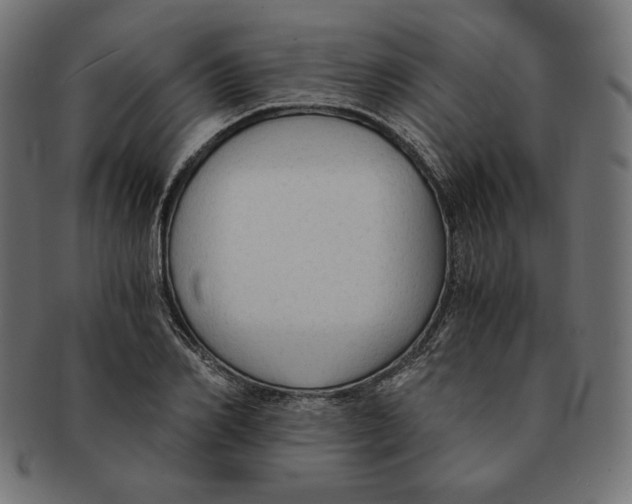 X0000091680982200709201235