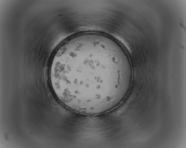 X0000091680983200709201235