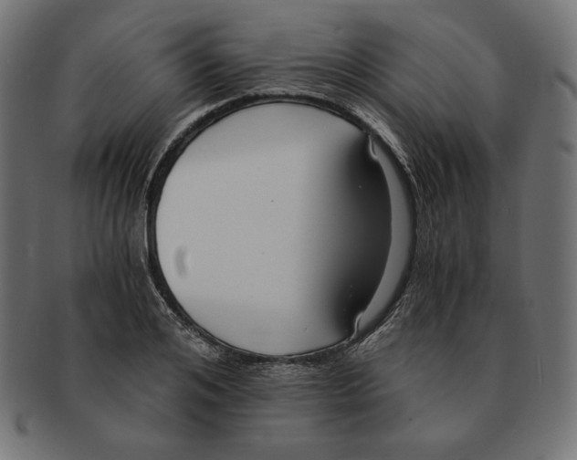 X0000091680984200709201235