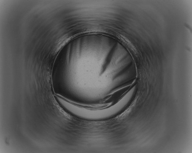 X0000091680985200709201235