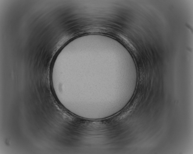 X0000091680986200709201235