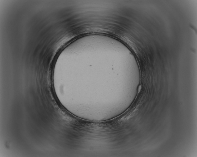 X0000091680987200709201235