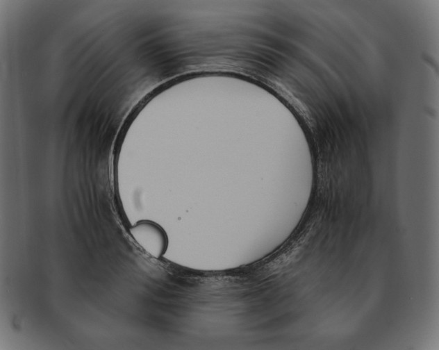 X0000091680988200709201235