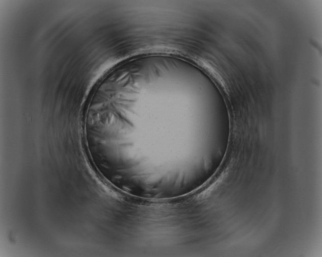 X0000091680989200709201235