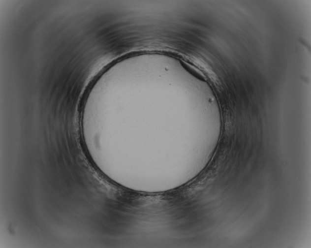 X0000091680990200709201235