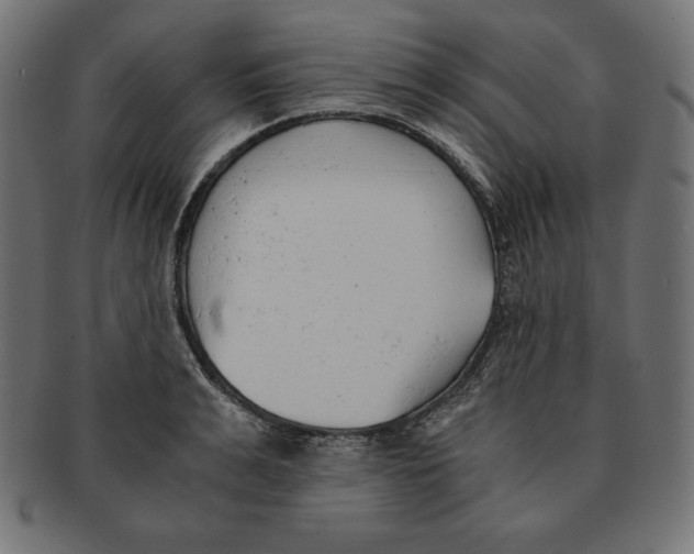 X0000091680991200709201235