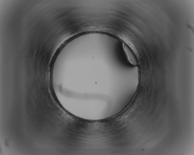 X0000091680992200709201235