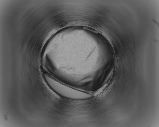 X0000091680997200709201235