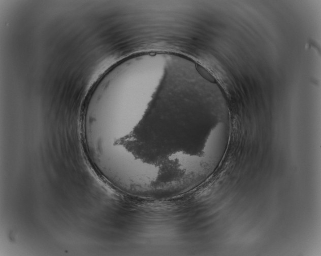 X0000091680998200709201235