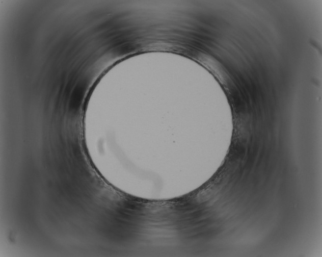 X0000091681000200709201235