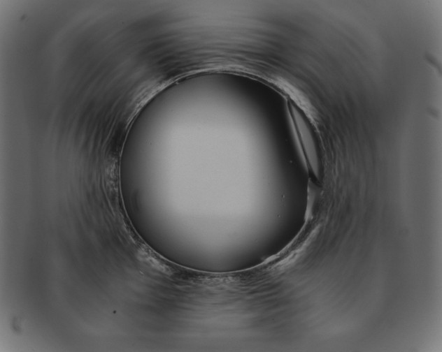 X0000091681001200709201235